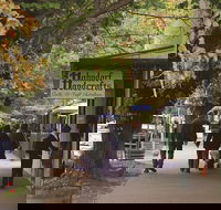 Adelaide Highlights Hahndorf  McLaren Vale Wine Tasting and Sightseeing Tour - New Castle Tourism