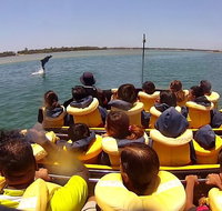 Gold Coast 55 Minute Adventure Jet Boat Ride - Newcastle Accommodation