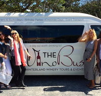 Mount Tamborine Wine Tasting Tour from Brisbane or the Gold Coast - Newcastle Accommodation