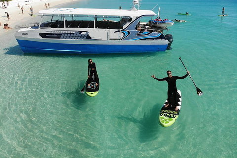 Whitsunday Bullet Day Trip - Whitehaven Beach And Snorkelling - Newcastle Accommodation 4