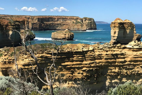 Great Ocean Road Reverse Itinerary Tour - New Castle Tourism 1