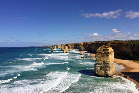 Great Ocean Road Reverse Itinerary Tour - New Castle Tourism 4