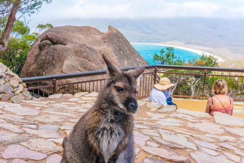 Wineglass Bay & Freycinet NP Full Day Tour From Hobart Via Richmond Village - New Castle Tourism 0