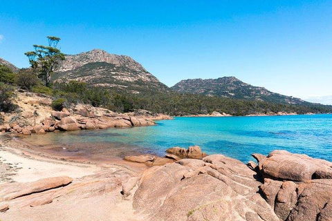 Wineglass Bay & Freycinet NP Full Day Tour From Hobart Via Richmond Village - New Castle Tourism 5