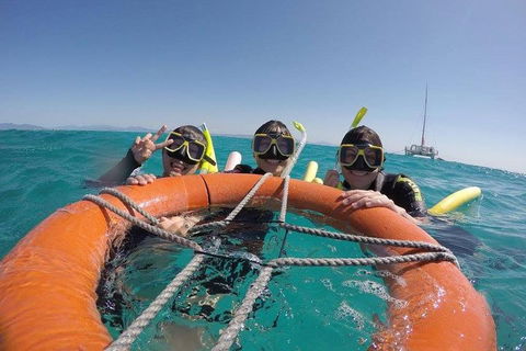 Full-Day Great Barrier Reef Sailing Trip - New Castle Tourism 0