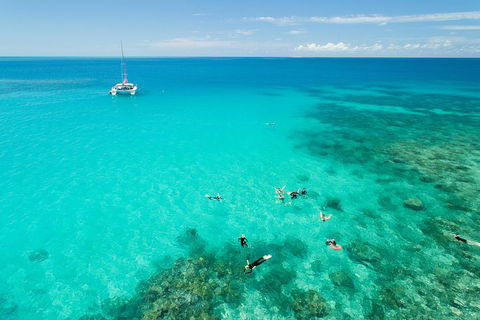 Full-Day Great Barrier Reef Sailing Trip - New Castle Tourism 2