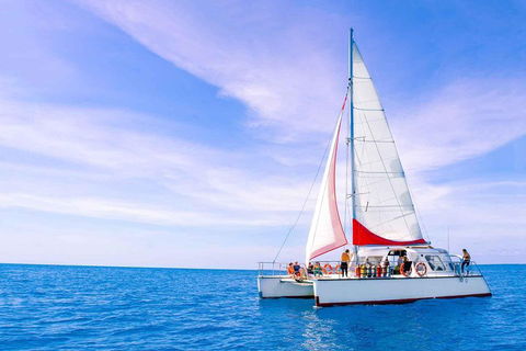 Full-Day Great Barrier Reef Sailing Trip - New Castle Tourism 4