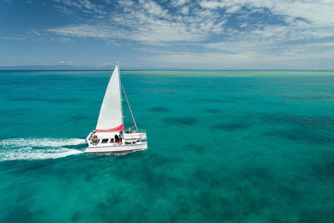 Full-Day Great Barrier Reef Sailing Trip - New Castle Tourism 5