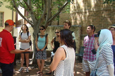 Small-Group Sydney City Walking Tour - Newcastle Accommodation 2
