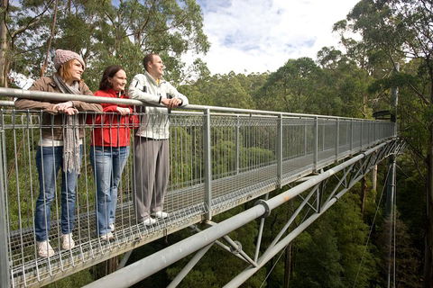 Adventure Sunset Three Day Great Ocean Road Tour - Newcastle Accommodation 0