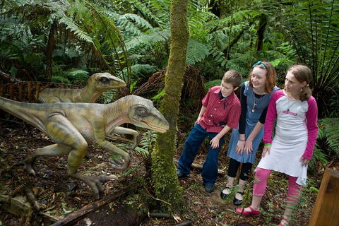 Adventure Sunset Three Day Great Ocean Road Tour - Newcastle Accommodation 2