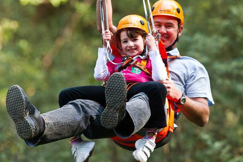 Adventure Sunset Three Day Great Ocean Road Tour - Newcastle Accommodation 4