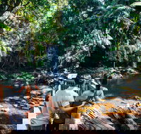 Aquaduck  Your choice of Gold Coast Rainforest Tour