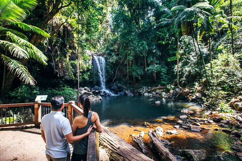 Aquaduck & Your Choice Of Gold Coast Rainforest Tour - Newcastle Accommodation 0