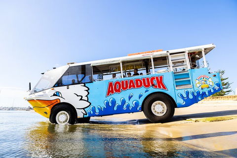Aquaduck & Your Choice Of Gold Coast Rainforest Tour - Newcastle Accommodation 3