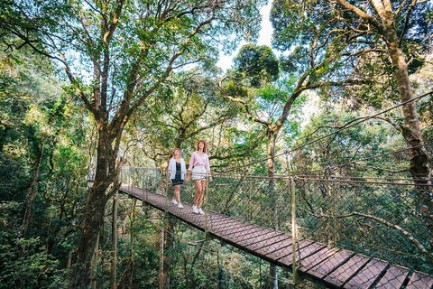 Aquaduck & Your Choice Of Gold Coast Rainforest Tour - Newcastle Accommodation 4