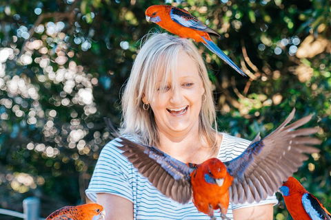 Aquaduck & Your Choice Of Gold Coast Rainforest Tour - Newcastle Accommodation 5