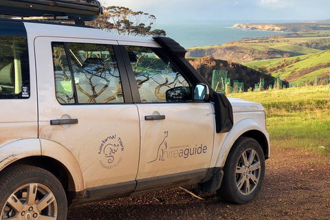 Kangaroo Island 4WD Tour - Best Of KI In 2 Days - Newcastle Accommodation 4