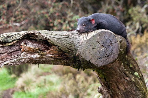 Day Keeper Tour - New Castle Tourism 0