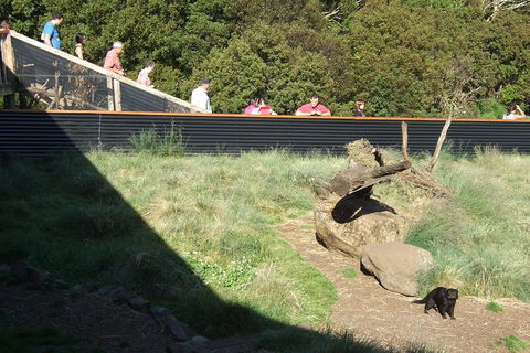 Day Keeper Tour - New Castle Tourism 2