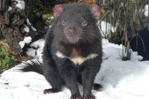 Day Keeper Tour - New Castle Tourism 4