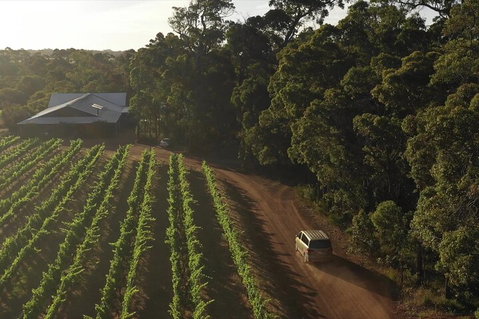 The All About Margaret River Tour: Wine, Coffee, Lunch And Forest - Newcastle Accommodation 1