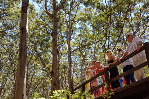 The All About Margaret River Tour: Wine, Coffee, Lunch And Forest - Newcastle Accommodation 3