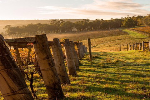 The All About Margaret River Tour: Wine, Coffee, Lunch And Forest - Newcastle Accommodation 5