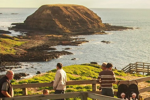 Healesville Sanctuary And Phillip Island Wildlife Bus Tour - Newcastle Accommodation 3
