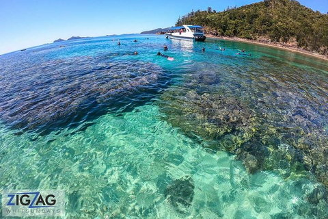 Whitehaven Beach Day Tour With Snorkel In Whitsundays Island - Newcastle Accommodation 5