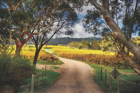 McLaren Vale Winery Small Group Tour With Wine Tasting And Lunch - Newcastle Accommodation 1
