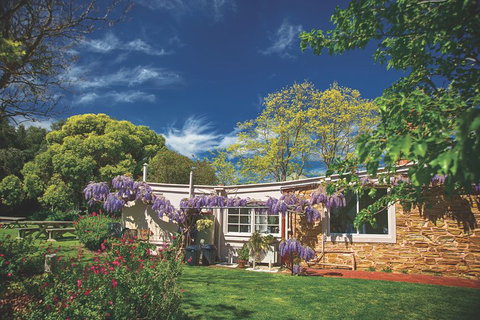 McLaren Vale Winery Small Group Tour With Wine Tasting And Lunch - Newcastle Accommodation 2