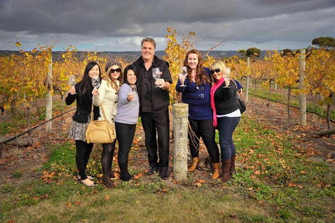 McLaren Vale Winery Small Group Tour With Wine Tasting And Lunch - Newcastle Accommodation 3