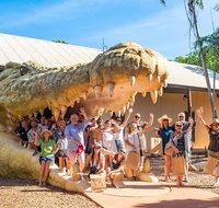 Malcolm Douglas Crocodile Park Tour Including Transportation