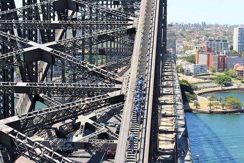 Eastern Suburbs Of Sydney, Woolloomooloo And Barangaroo - Newcastle Accommodation 4