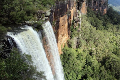 Private Southern Highlands Day Trip From Sydney Including Fitzroy Falls - Newcastle Accommodation 1