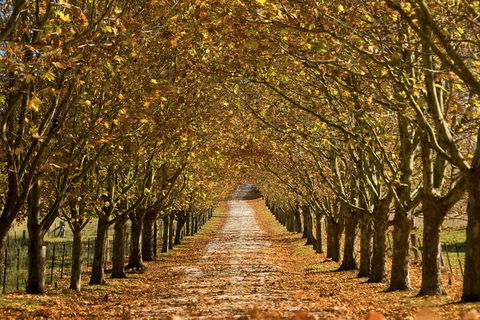 Private Southern Highlands Day Trip From Sydney Including Fitzroy Falls - Newcastle Accommodation 4