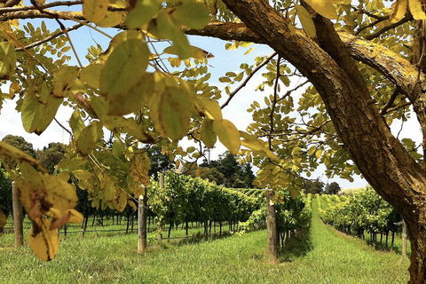 Private Southern Highlands Day Trip From Sydney Including Fitzroy Falls - Newcastle Accommodation 5