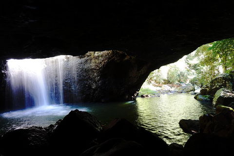 Natural Arch, Rainforest & Volcano Canyon - Private Half Day Tour - Newcastle Accommodation 0