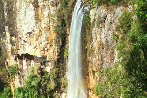 Natural Arch, Rainforest & Volcano Canyon - Private Half Day Tour - Newcastle Accommodation 2