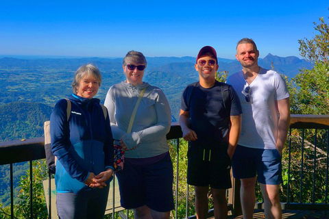 Natural Arch, Rainforest & Volcano Canyon - Private Half Day Tour - Newcastle Accommodation 3