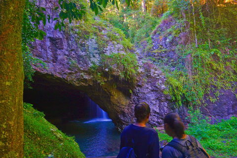 Natural Arch, Rainforest & Volcano Canyon - Private Half Day Tour - Newcastle Accommodation 4