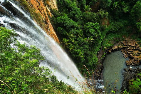 Natural Arch, Rainforest & Volcano Canyon - Private Half Day Tour - Newcastle Accommodation 5