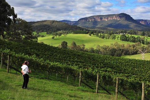 Private Blue Mountains And Winery Day-Trip From Sydney - Newcastle Accommodation 2
