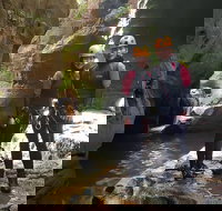 Blue Mountains Empress Canyon Adventure from Wentworth Falls - Newcastle Accommodation