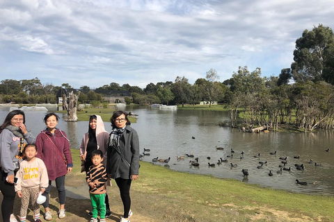 Phillip Island Penguins Private Tour - Newcastle Accommodation 1