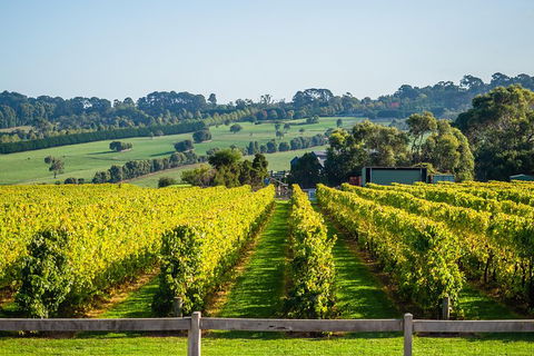 Private Tours From Melbourne - Newcastle Accommodation 1