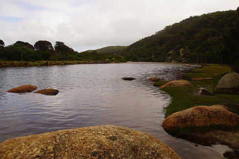 Private Tours From Melbourne - Newcastle Accommodation 2