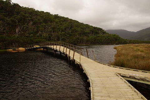 Private Tours From Melbourne - Newcastle Accommodation 3