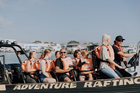 Adventure Whale Watching Tour Mooloolaba - Newcastle Accommodation 4